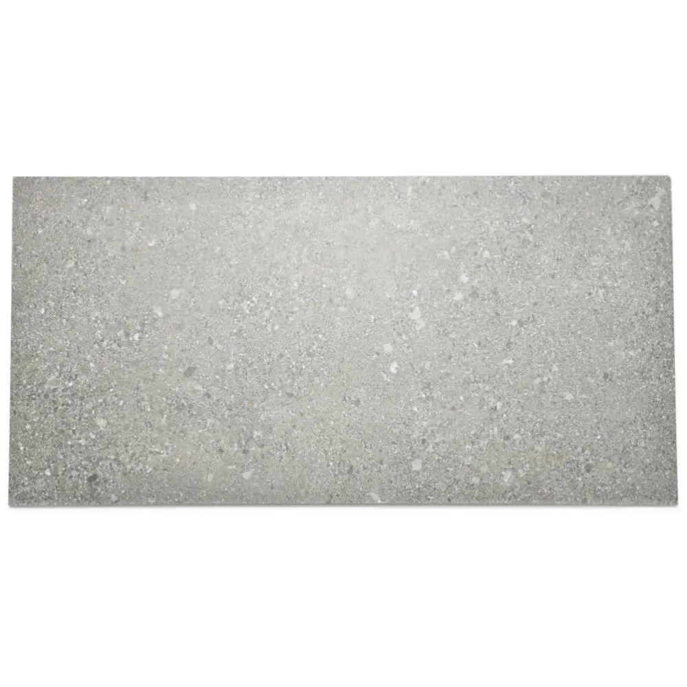 Bodenfliese Agrob Buchtal 430927 Basis Pro aschbraun braun grau 30x60 cm I.Sorte