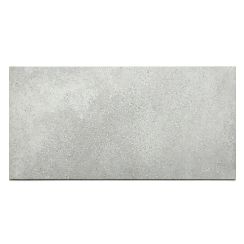Bodenfliese Villeroy & Boch 2576 SD5B Hudson ash grey hellgrau 30x60 cm I.Sorte Bodenfliese Villeroy & Boch 2576 SD5B Hudson ash grey hellgrau 30x60 cm I.Sorte