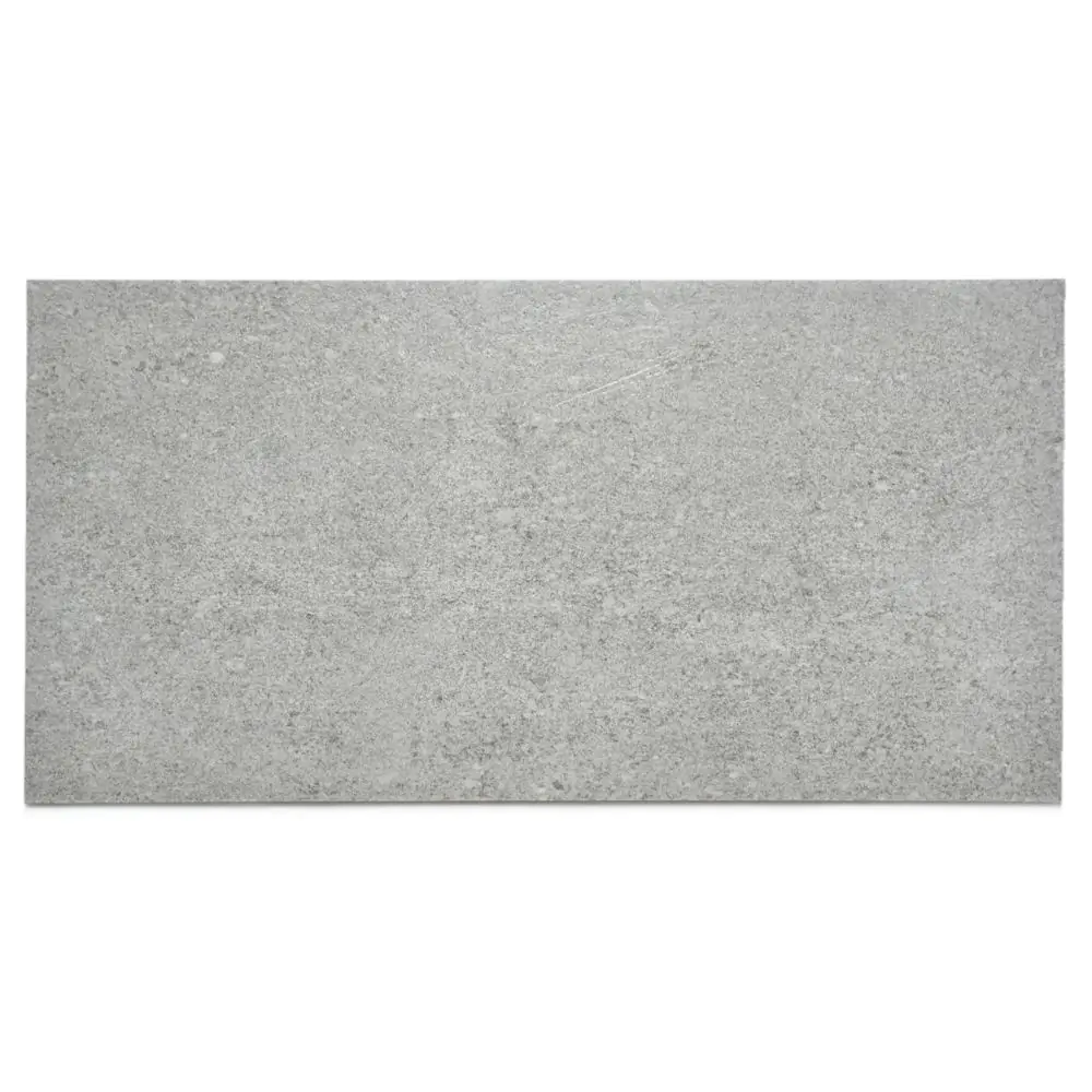 Bodenfliese Villeroy & Boch 2365 SA61 Stageart iron grau 30x60 cm I.Sorte