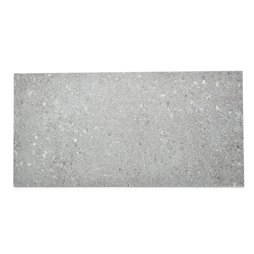 Bodenfliese Agrob Buchtal 430928 Basis Pro betongrau hellgrau 30x60 cm I.Sorte