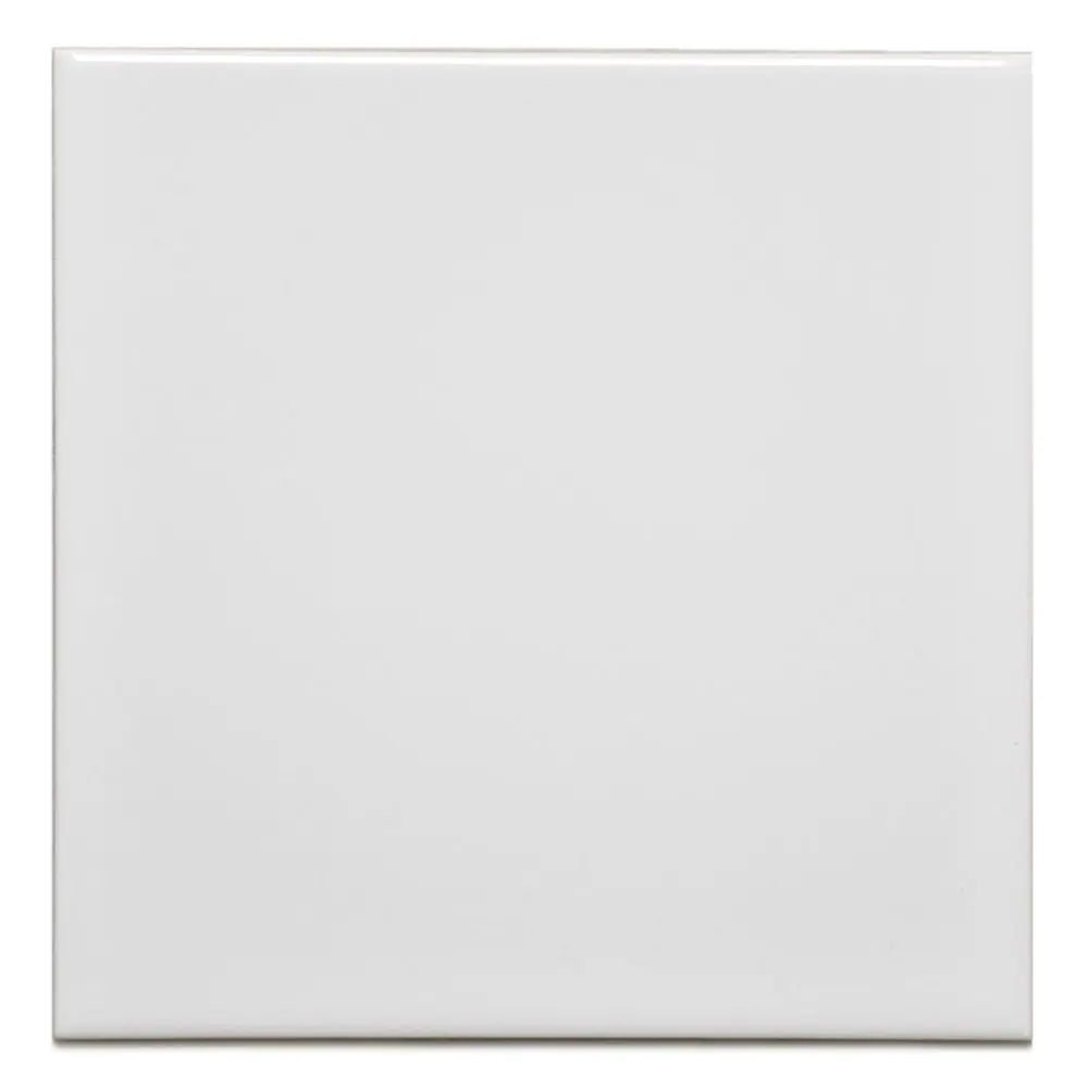 Wandfliese Bremer Wandplatten EU80-01 weiß 20x20 cm I.Sorte