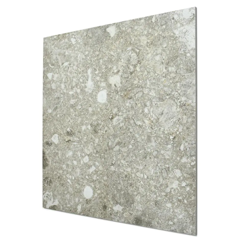 Bodenfliese Mirage RR02 Norr 2.0 gra grau 60x60 cm I.Sorte