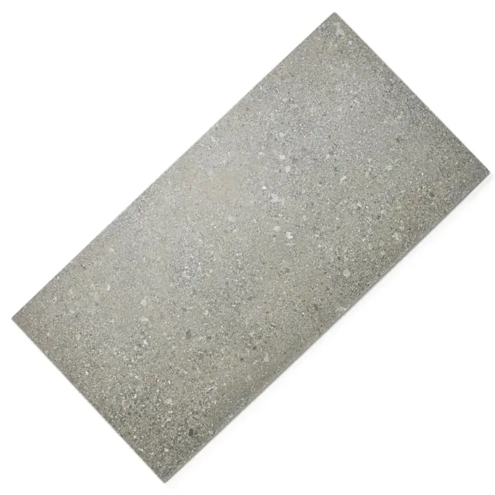 Bodenfliese Agrob Buchtal 430927 Basis Pro aschbraun braun grau 30x60 cm I.Sorte