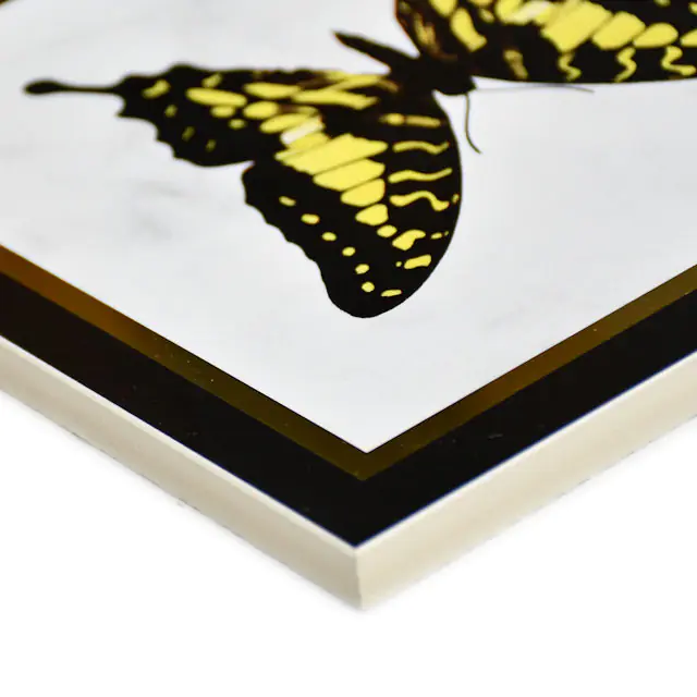 Wandfliese Dekor Villeroy & Boch 1222 MK0C black-white mehrfarbig Victorian 20x20 cm I.Sorte