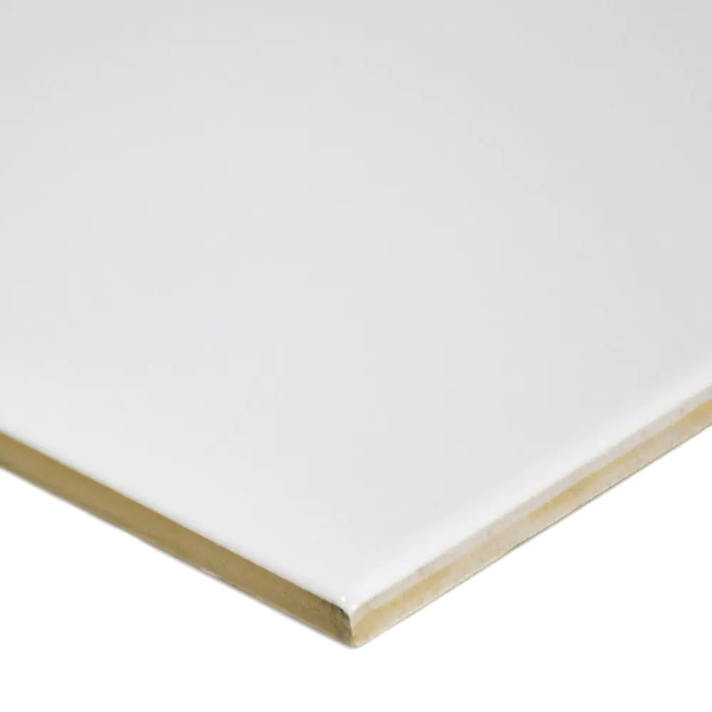 Wandfliese Bremer Wandplatten EU80-01 weiß 20x20 cm I.Sorte