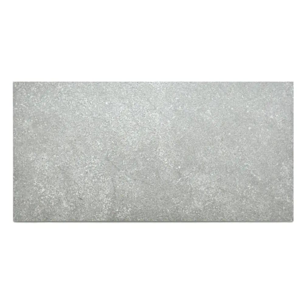 Bodenfliese Villeroy & Boch 2572 RZ60 Alta silver grau 30x60 cm I.Sorte