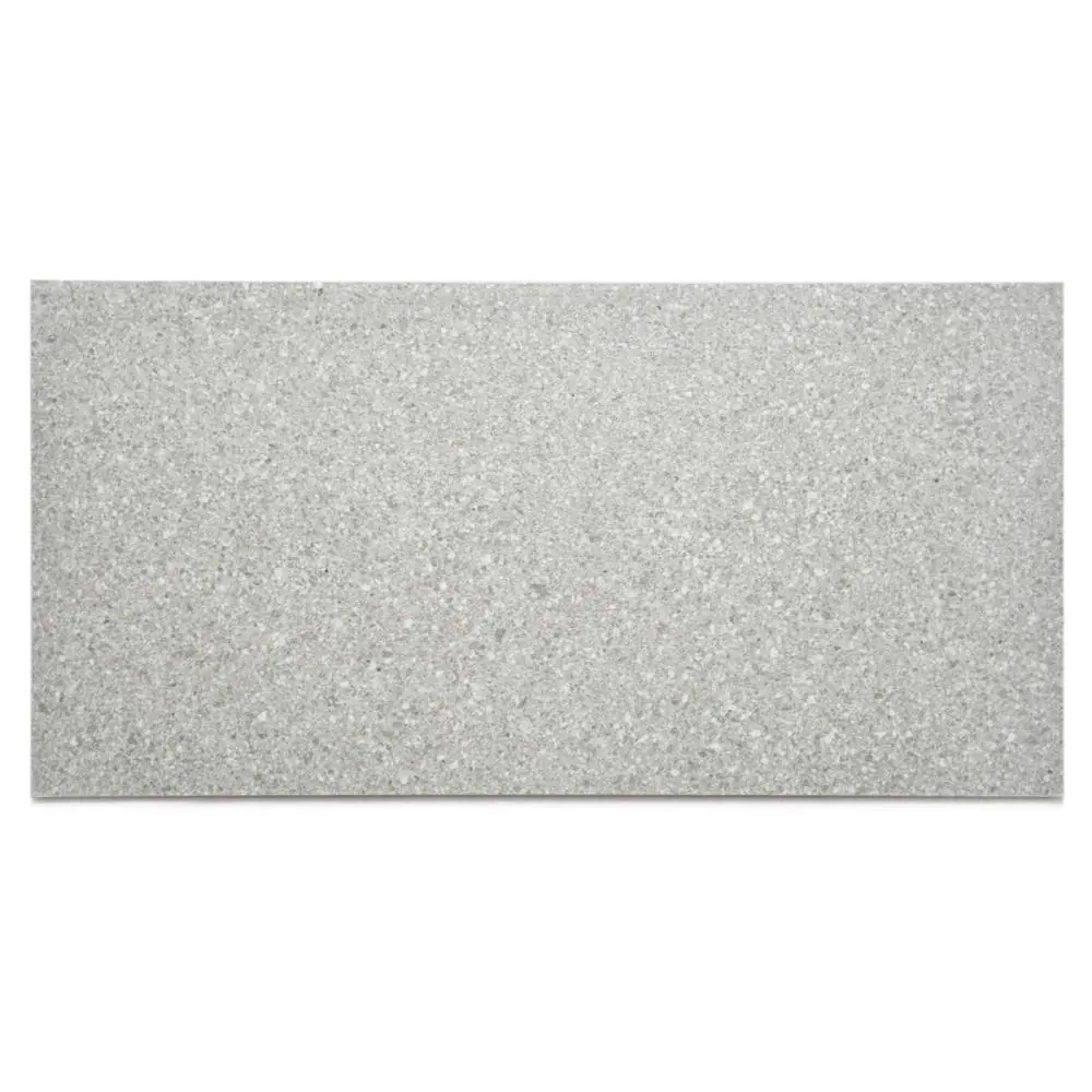 Bodenfliese Villeroy & Boch 2521 PG60 Solid Tones cool grain 30x60 cm I.Sorte