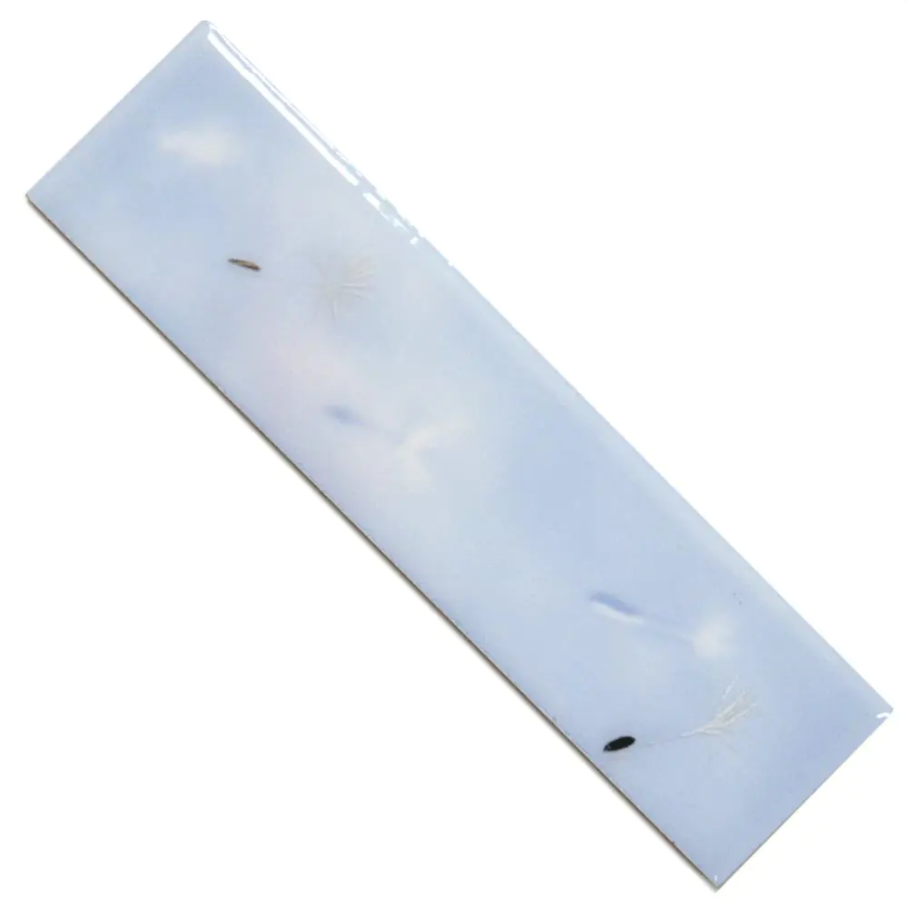 Bordüre Naxos Nr.226 20798 Bianco Luce 7 hellblau 6,5x25 cm Bordüre Naxos Nr.226 20798 Bianco Luce 7 hellblau 6,5x25 cm
