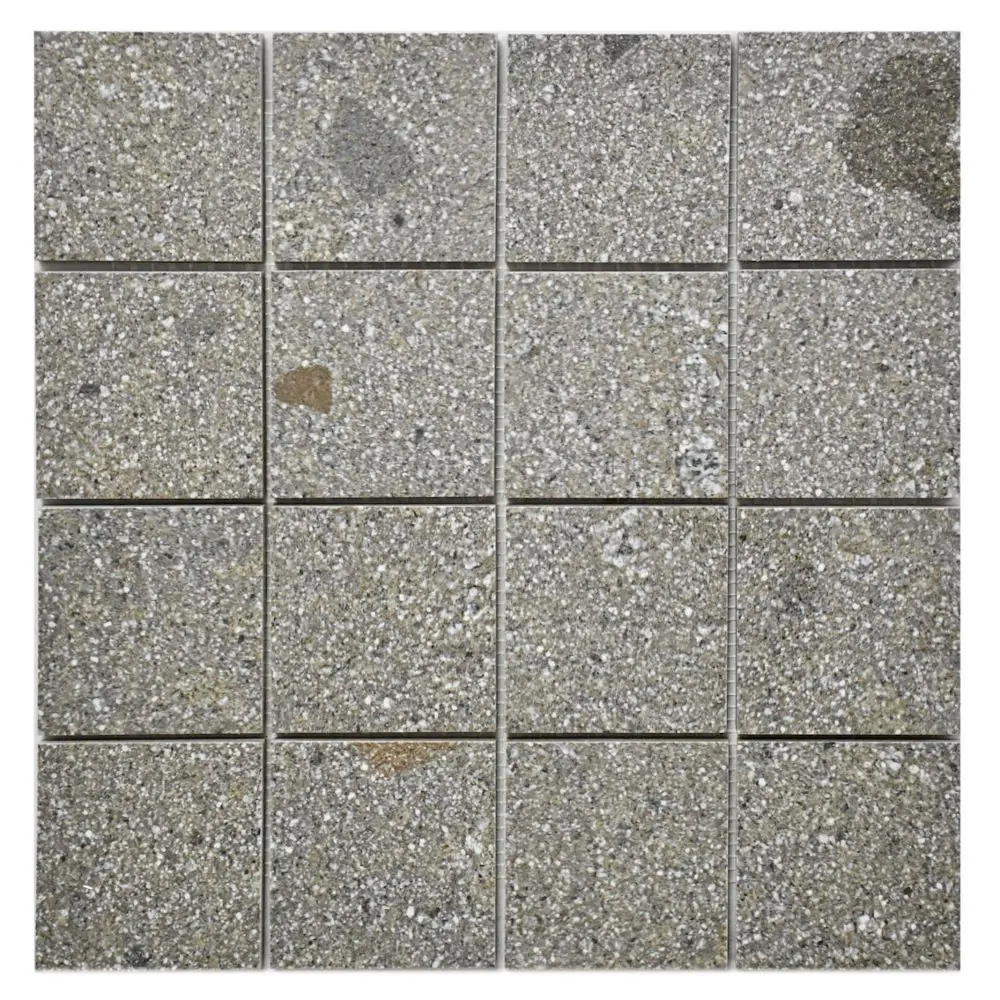 Mosaik Villeroy & Boch 2013 SN70 Code 2 porfid 30x30 cm I.Sorte