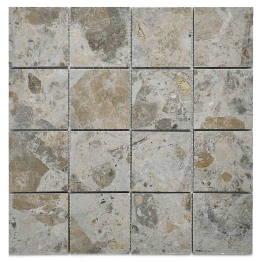 Mosaik Villeroy & Boch 2013 SN71 Code2 ceppo light 30x30 cm I.Sorte
