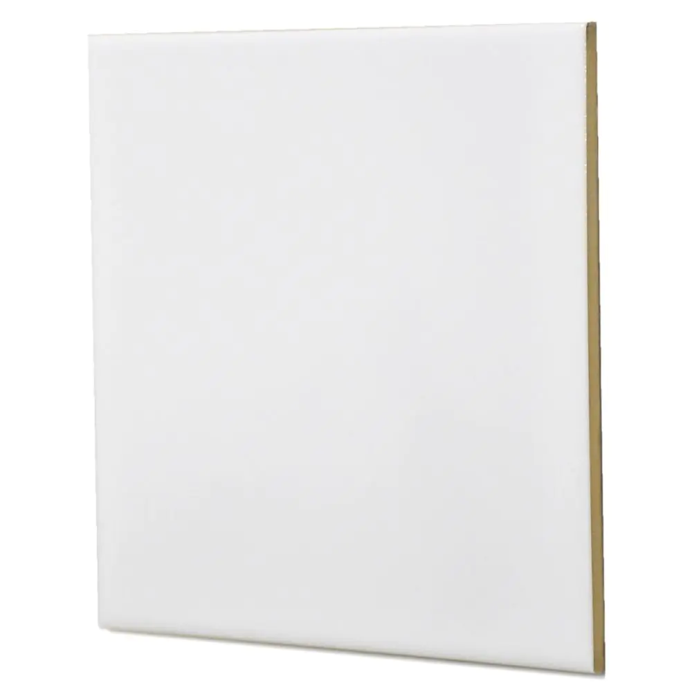 Wandfliese Bremer Wandplatten EU80-01 weiß 20x20 cm I.Sorte