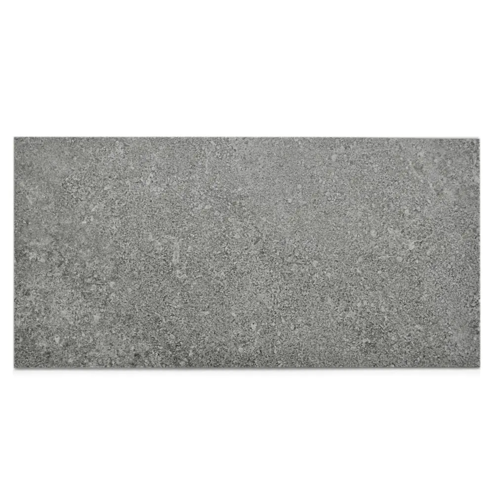 Bodenfliese Villeroy & Boch 2572 RZ90 Alta ash anthrazit grau 30x60 cm I.Sorte